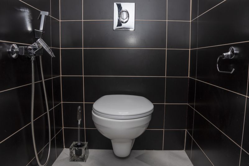 Modern Toilet Designs