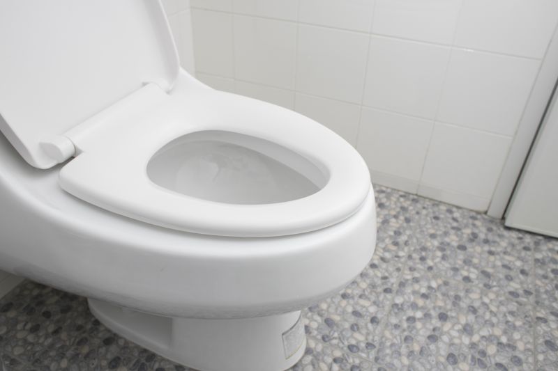 Smart Toilet with Bidet Functionality